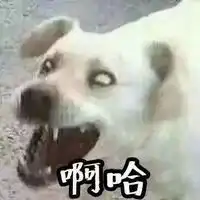 微信创意头像搞笑动漫微信头像图片大全
