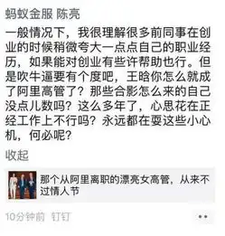 阿里离职女高管创业遭质疑靠夸张的假身份招摇撞骗
