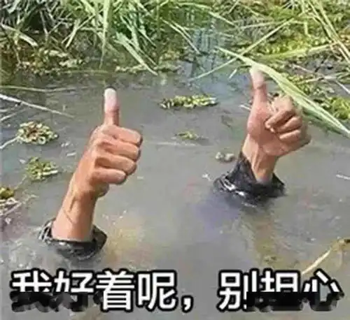 当领导发辛苦了,打工人应该怎么回答
