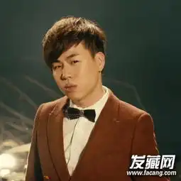 莫西干头发型丑男胡彦斌发型图片9
