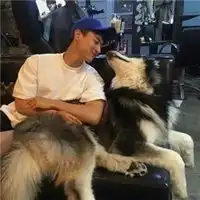 男生头像狗男生和狗狗可爱头像
