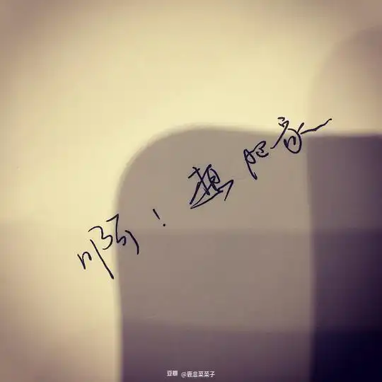 miss.鹿尔的相册文字记录心情
