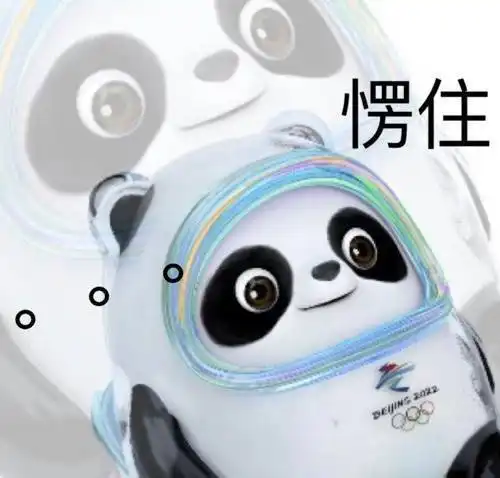 头像冰墩墩
