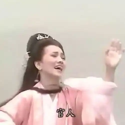 知否知否还有多少错误
