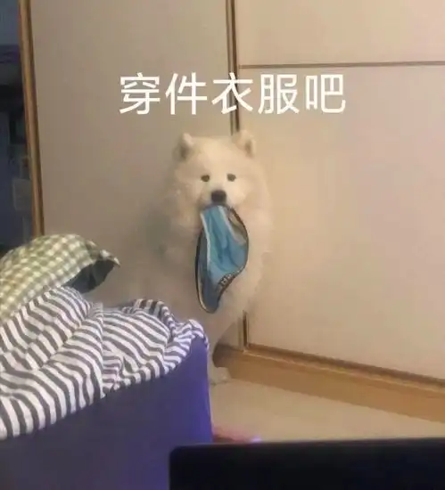e句话看天下丨baby不过情人节
