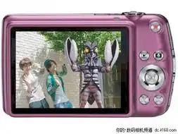 个性由我2010上半年8款特别版dc大盘点

