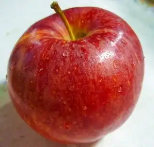 口腔溃疡如何进行食疗
