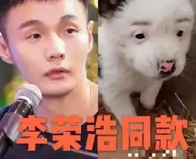 零点祝福,生日求婚,李荣浩杨丞琳娱乐圈最有时间观念的情侣
