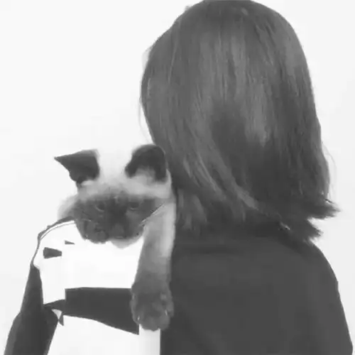 关于情侣头像
