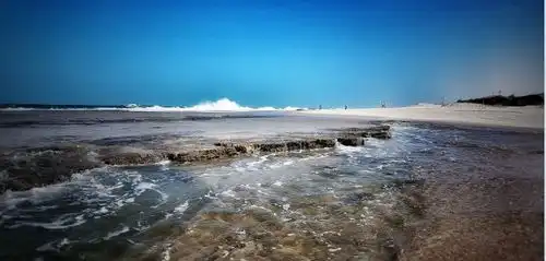 高考资讯志愿填报指导高考生万万不可以犯的八大错误
