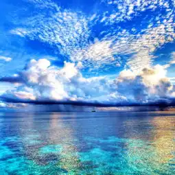 日本海之日,小伙伴们又三连休了
