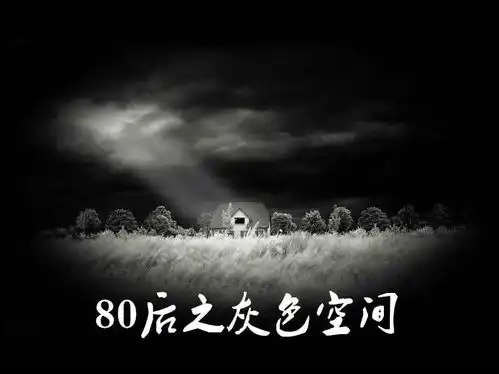 80后之灰色空间
