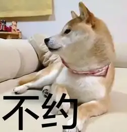 养了一只特别蠢的宠物是怎样一种体验
