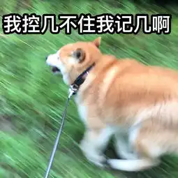 有哪些很萌又有点贱贱的头像
