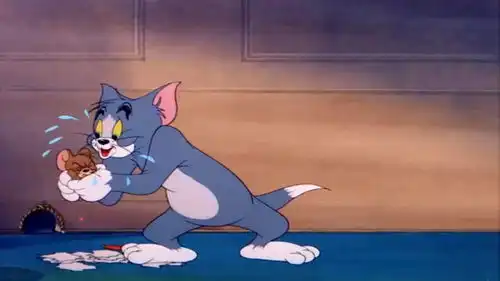 猫和老鼠汤姆猛亲杰瑞,口水喷得到处都是
