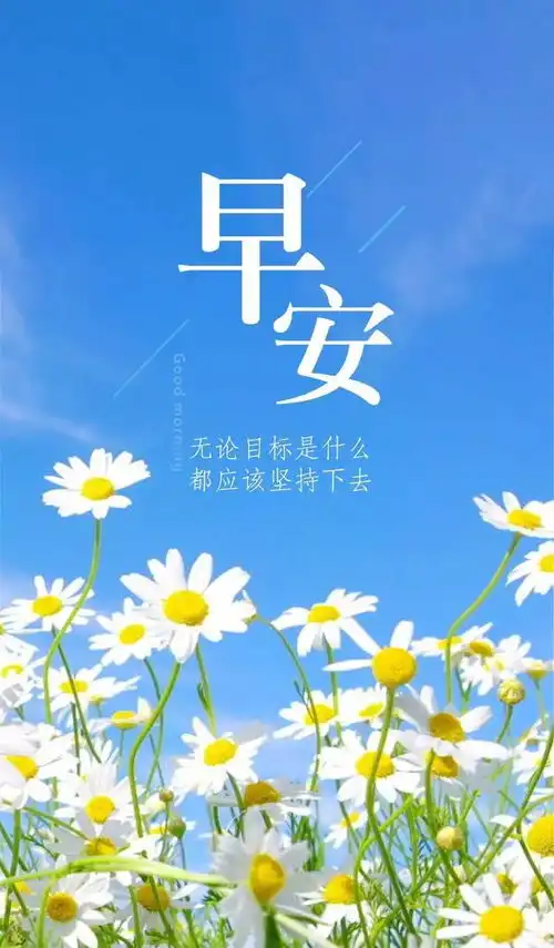 尘世间,有个能懂你的人,是多么重要,早安人生
