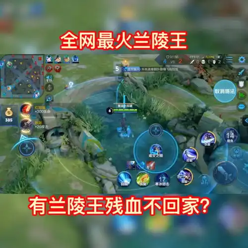 全网最火兰陵王残血不回家
