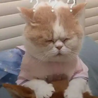 有哪些适合七夕发朋友圈的文案
