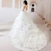 2017唯美婚纱背影大拖尾图片
