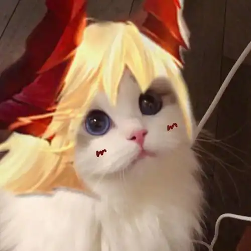 王者荣耀猫猫头像第四弹
