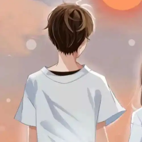 官宣时用的动漫情侣头像
