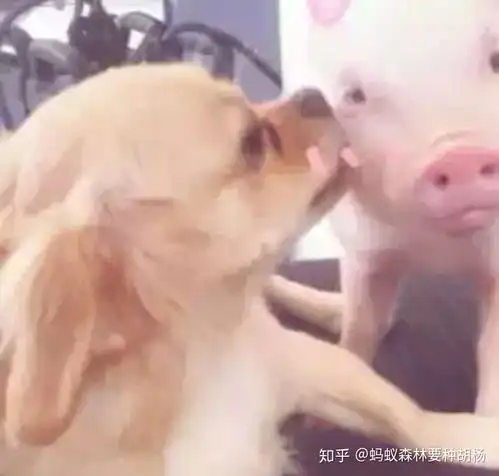 有没有那种看起来很正经青春无敌正能量的头像
