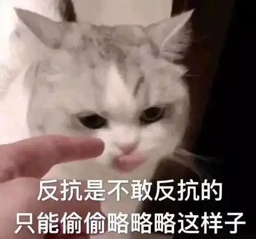 你的朋友圈有没有一个好友她总是频繁换头像换背景换签名你是怎么看待这个人的
