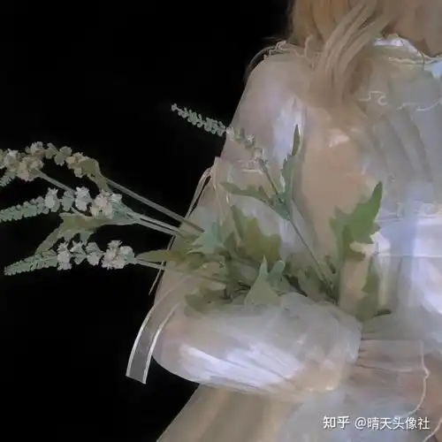 朋友圈背景图别遗憾,你就是我的的偏爱和例外
