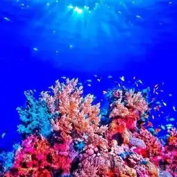 斯米兰拥有天然滤镜的海岛
