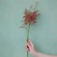 简单铅笔画情头像情侣嘴刁花微信头像图片大全

