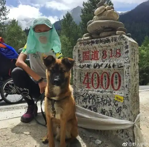 150天4700公里90后情侣带着一只狗从西湖跑步到布达拉宫
