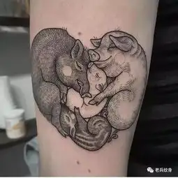 纹身素材生肖猪
