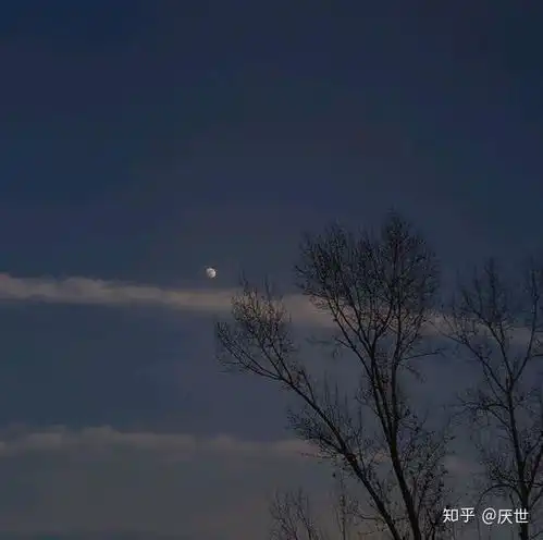 有哪些很丧心情低落的图片,歌词
