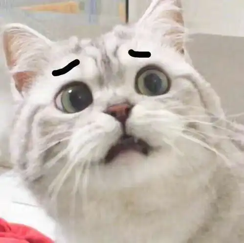 1收藏夹
