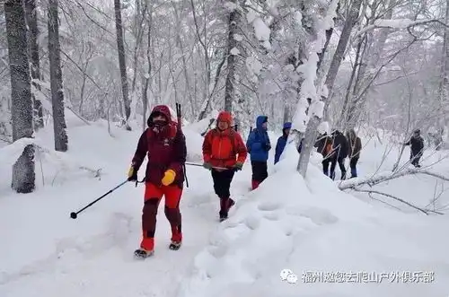 20182019年冬天里的童话看雪景,看雾凇,看冰雕一个不能少畅游冰雪王国双飞六日游
