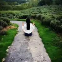 祝所有的情侣99
